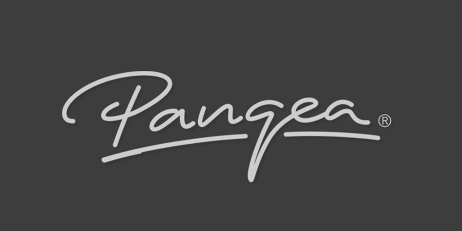 帅气潇洒英文手写字体设计|字体\/字形|平面|LO