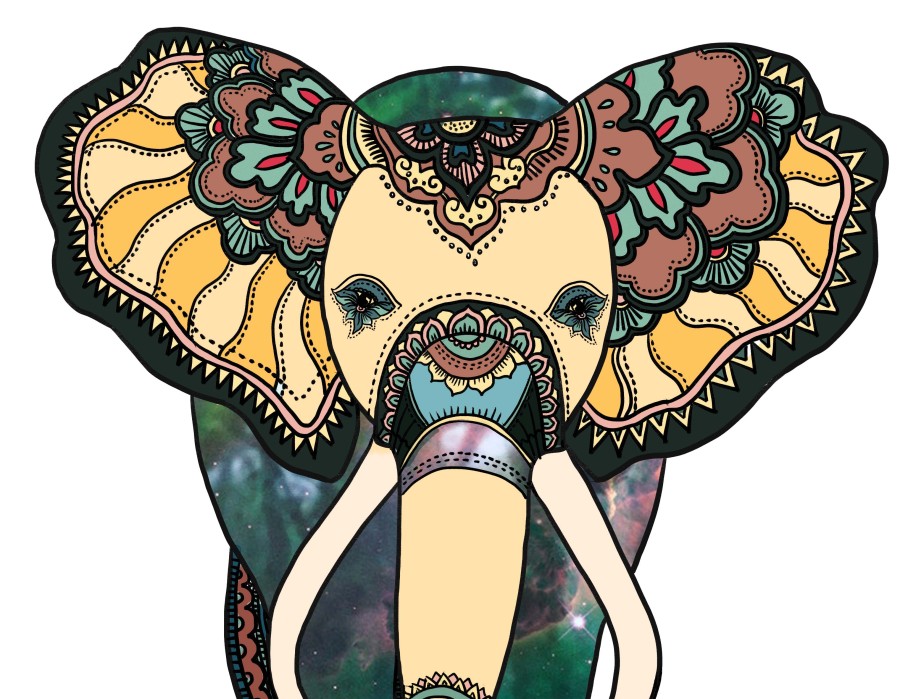 动物世界|绘画习作|插画|虎耳草和翠翠 - 原创设