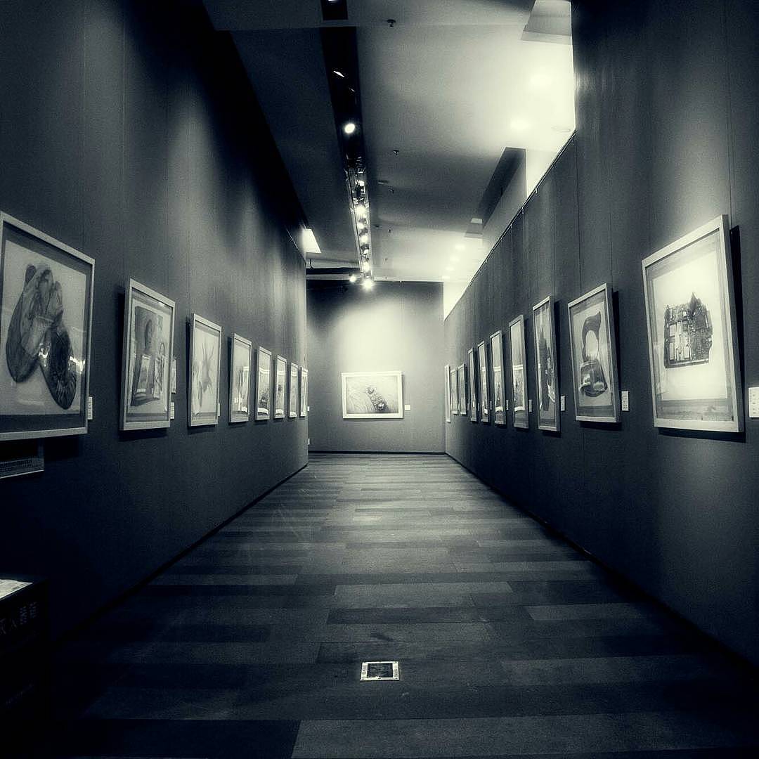 行者歌曲蒋龙简谱