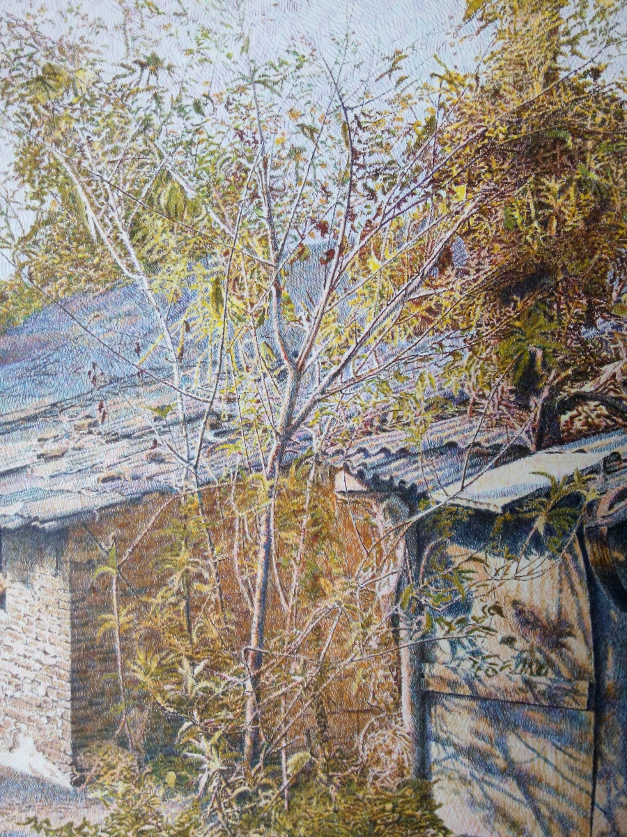 《空巢》|钢笔画|纯艺术|go朱云峰1 - 原创设计