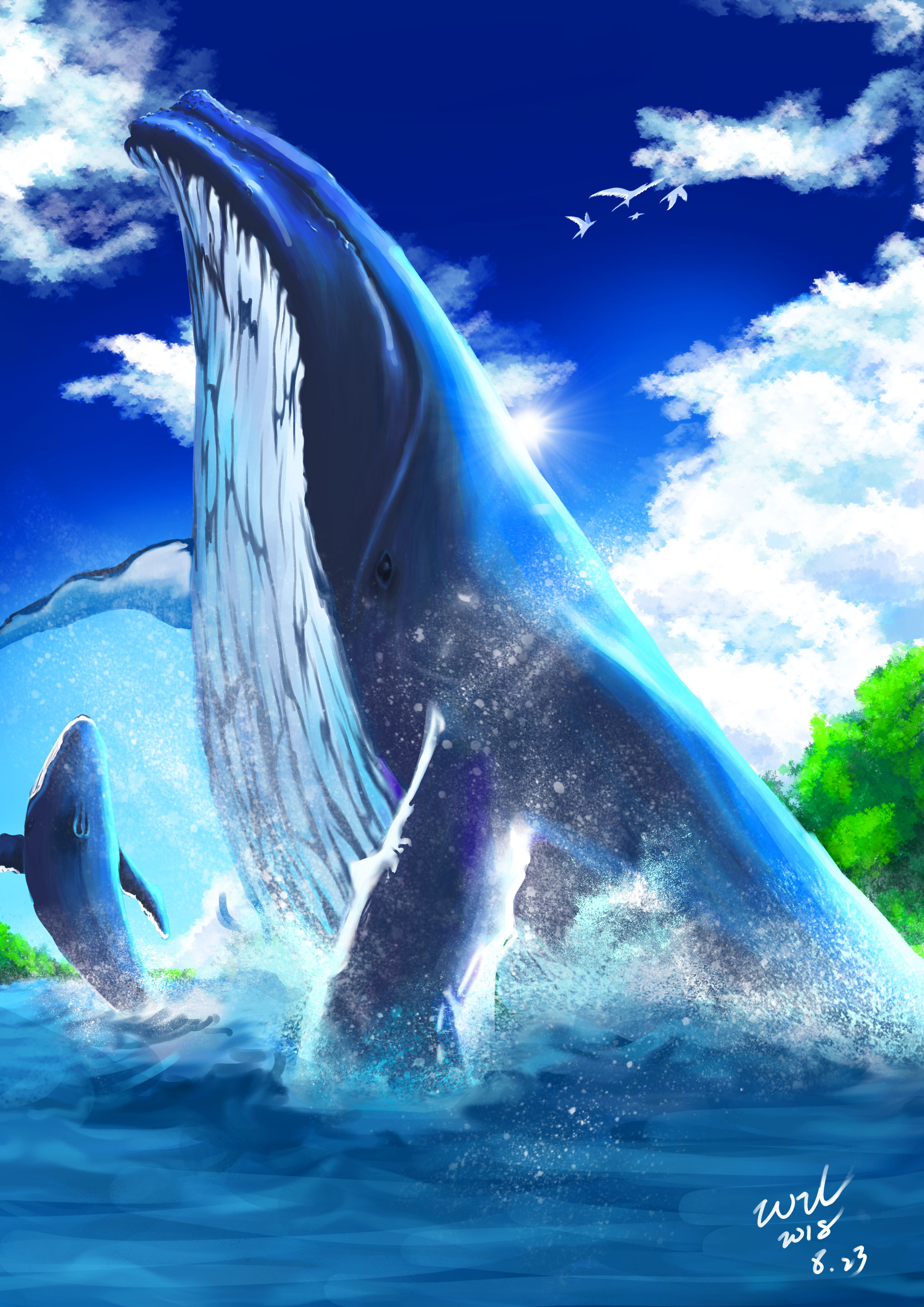 蓝鲸
