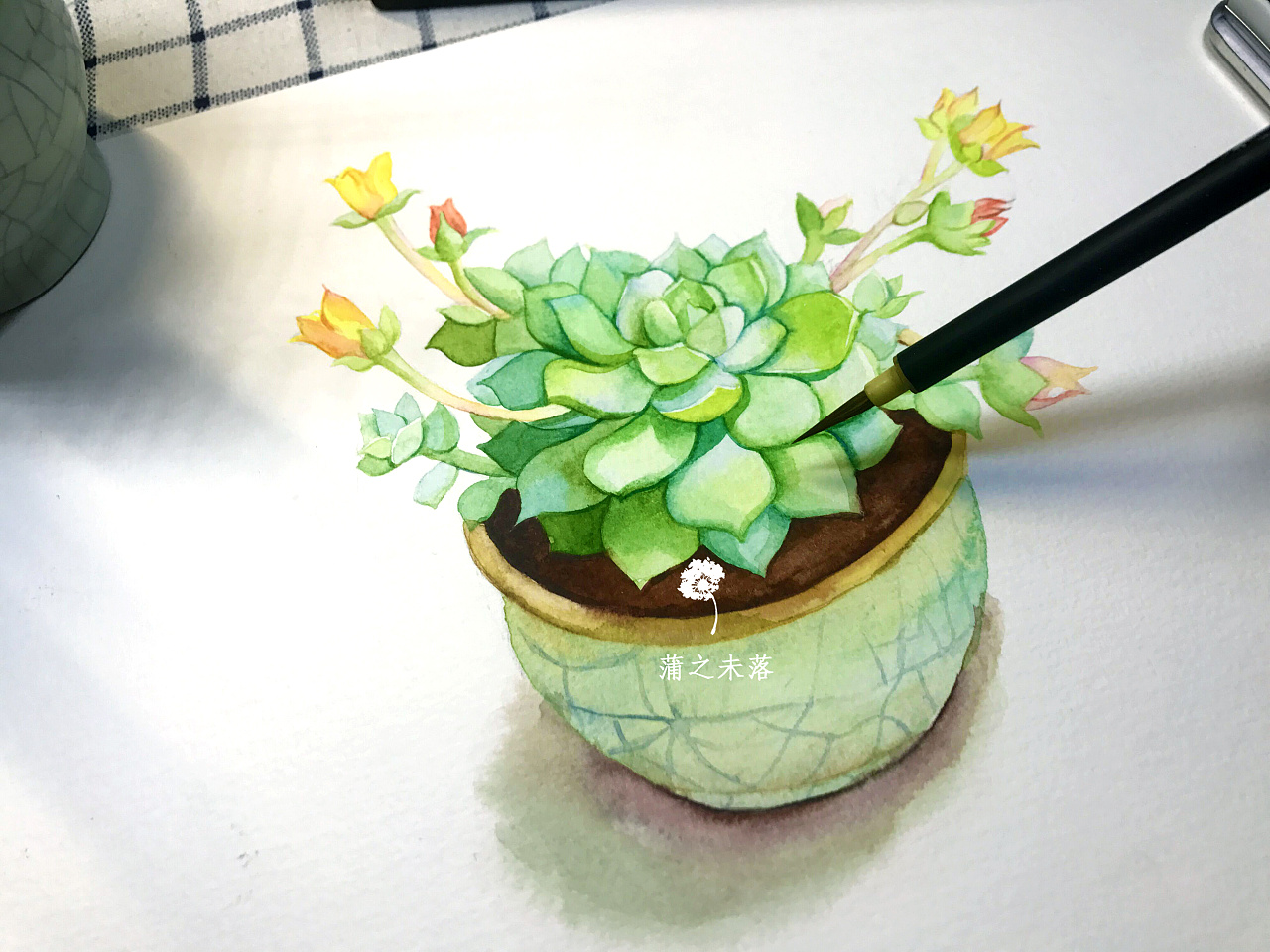 【从零学会画水彩】《多肉-静夜》花卉篇vol.16 『蒲之未落 0基础水彩教学』|纯艺术|水彩|蒲之未落 - 原创作品 - 站酷 (ZCOOL)