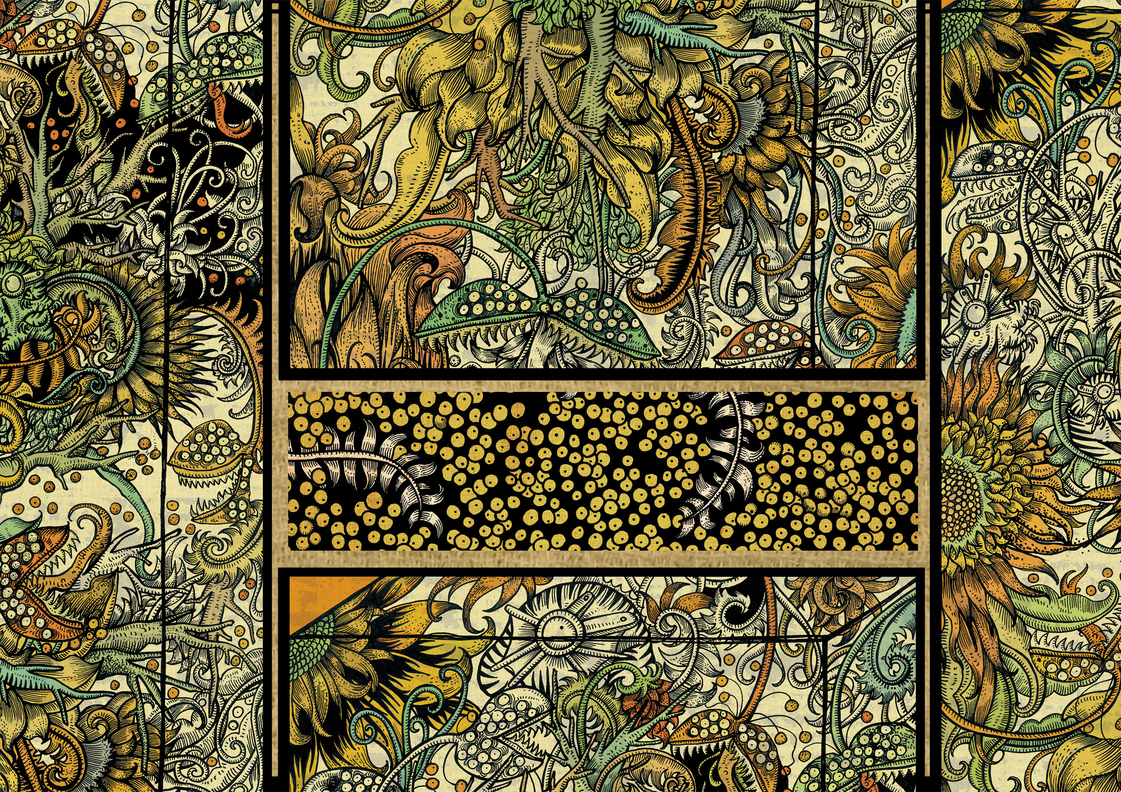 水熊虫志#动漫作品#