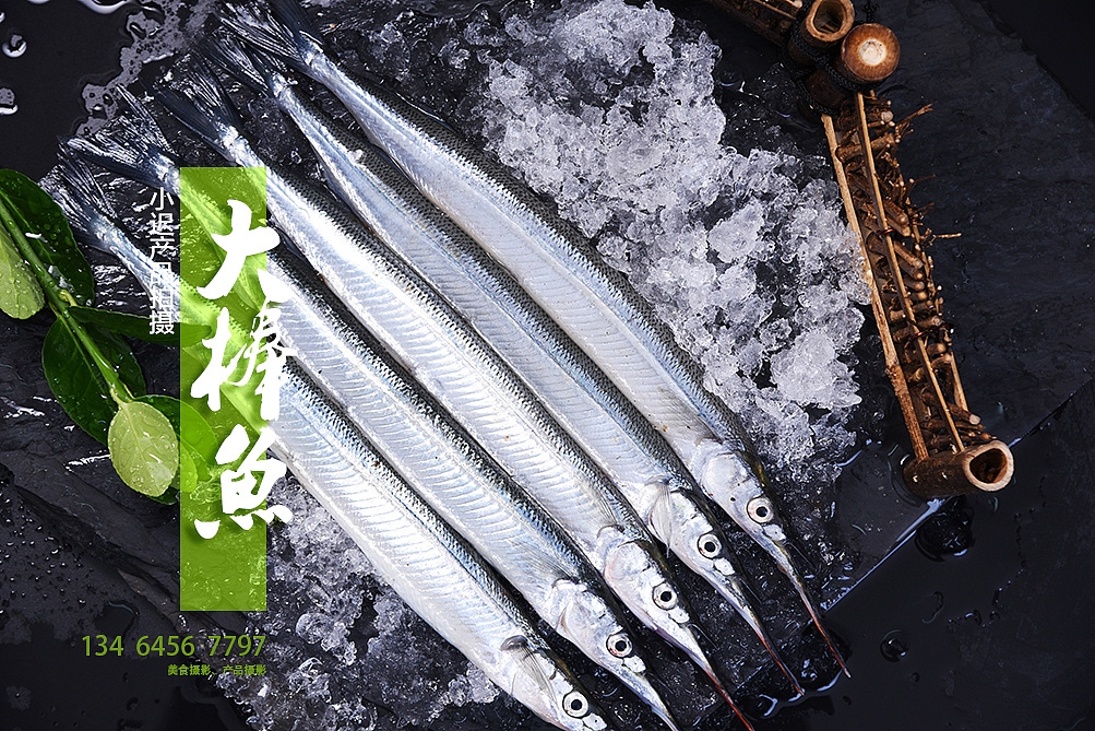 东港海鲜gdp_大连东港图片