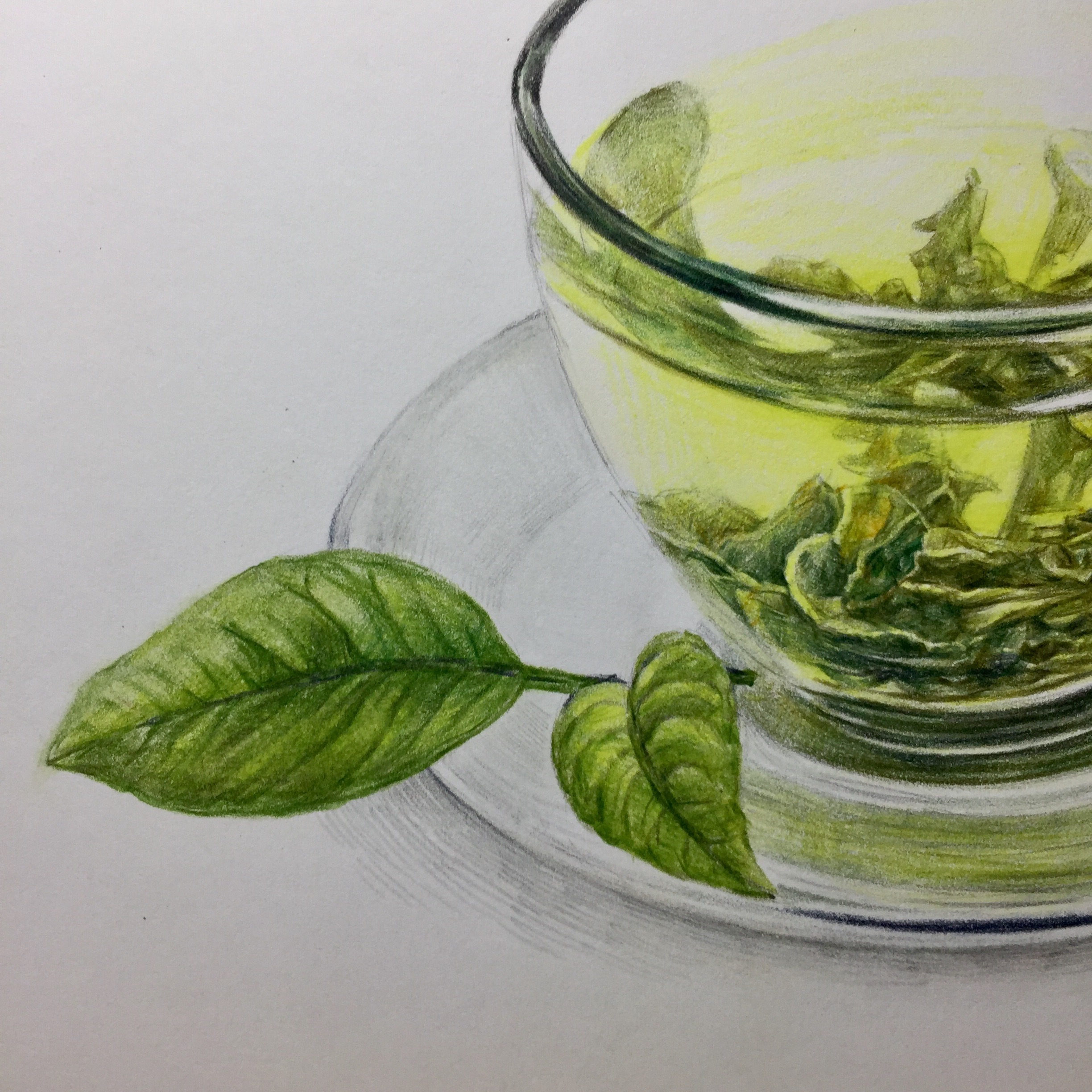 彩铅玻璃杯绿茶