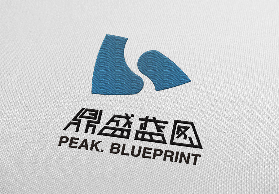 鼎盛蓝图(北京)文化传媒有限公司logo设计|标志