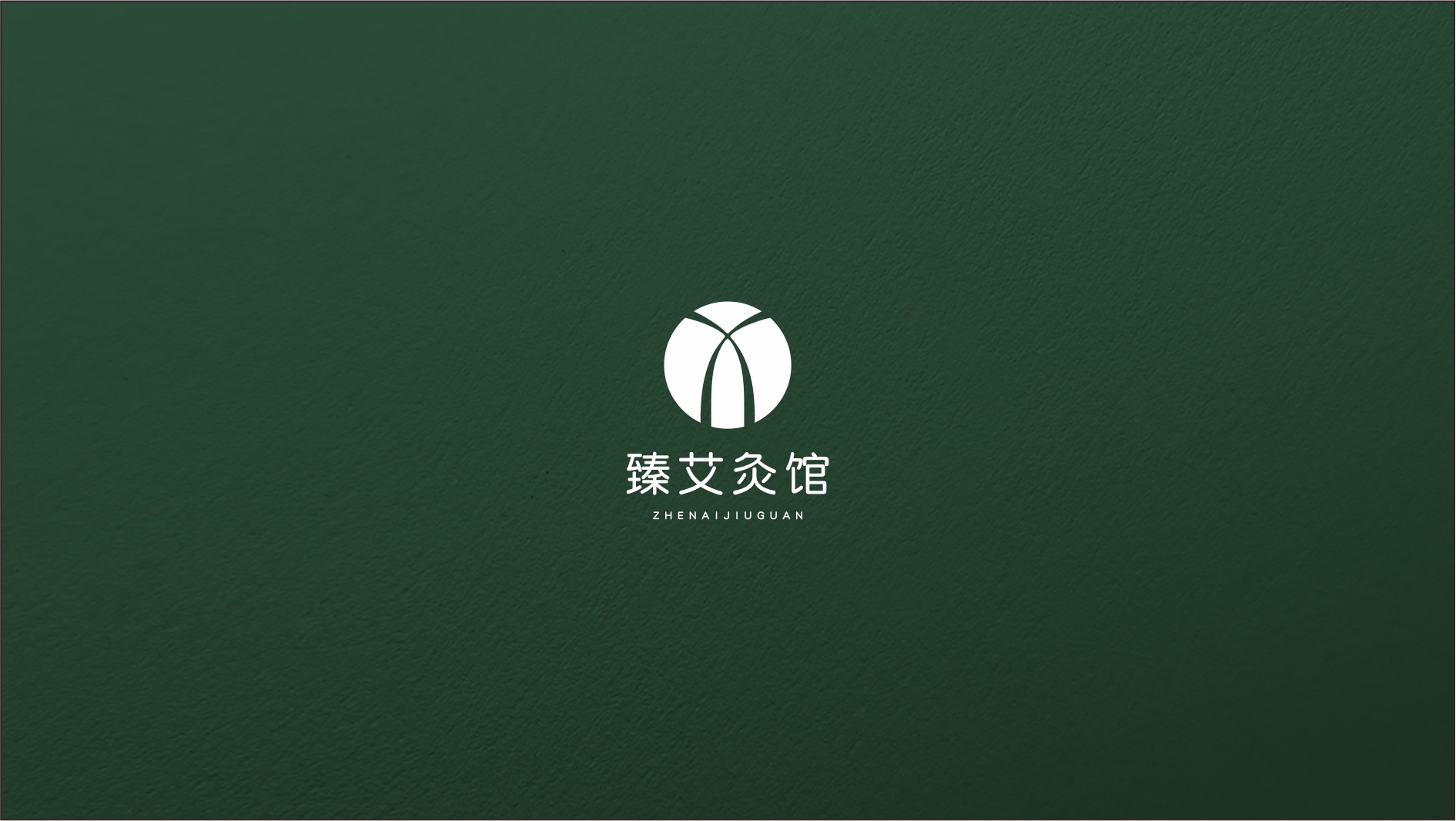 养生馆 艾灸 logo