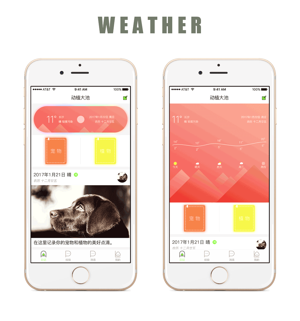animal plant pool app design|ui|app界面|口袋无限