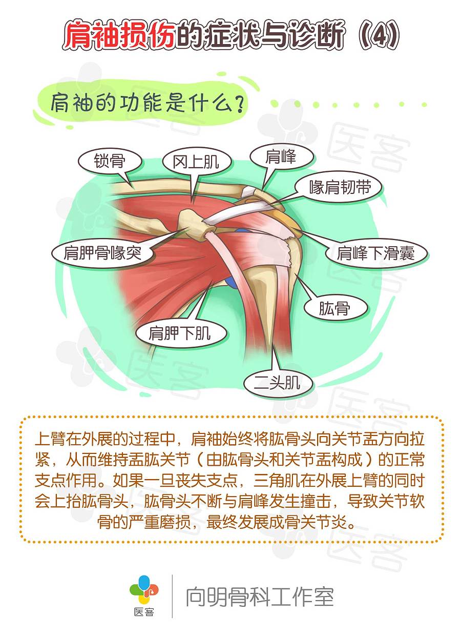 【医客工作室】医疗科普漫画:肩袖损伤的症状与诊断