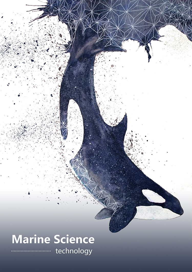 海洋鲸鱼创意海报