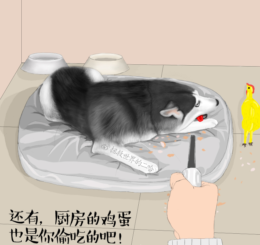 说出来你可能不信,是鸡蛋先动手的|商业插画|插