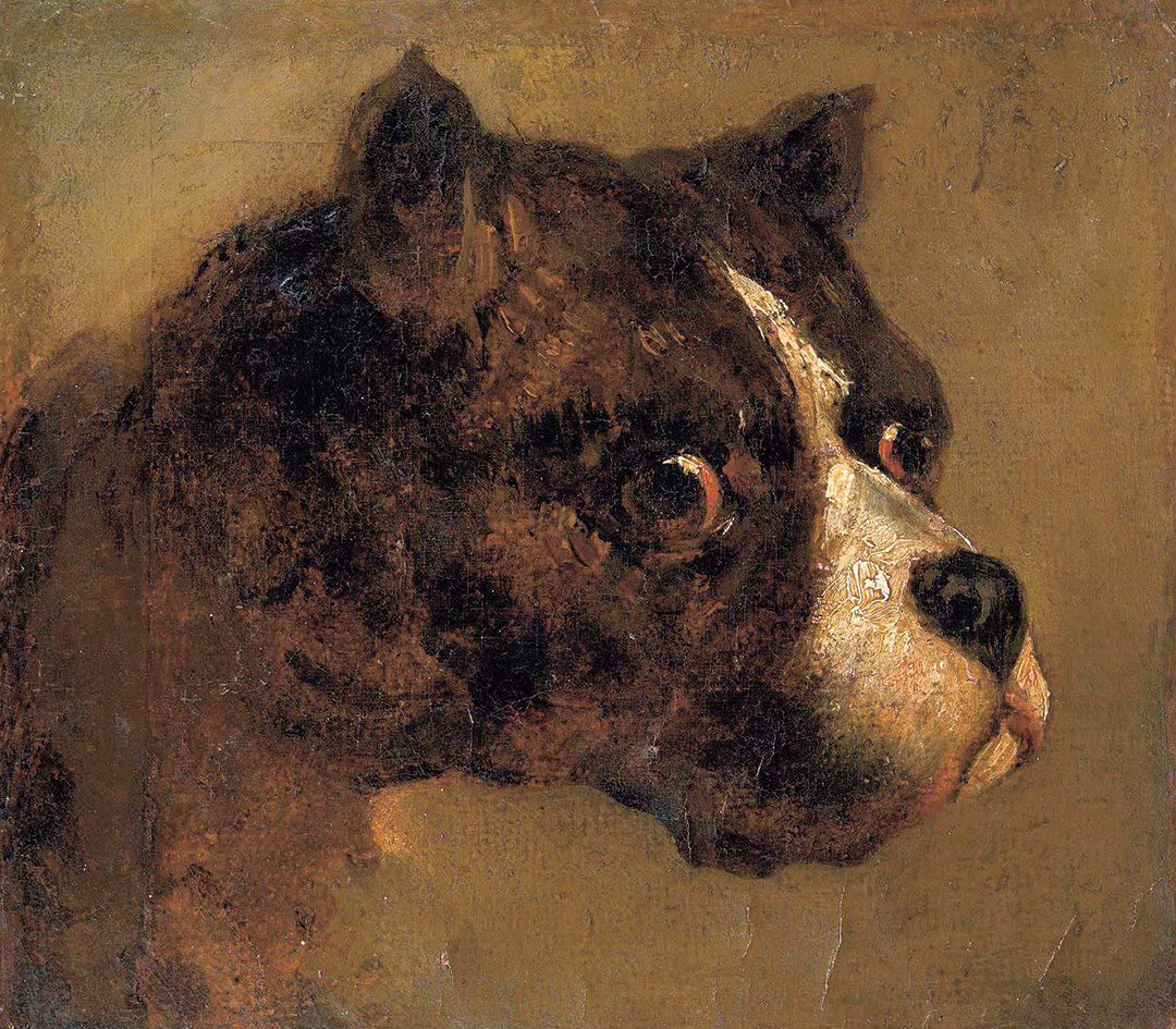 《敖犬的头像》,西奥多·杰利柯,19世纪.