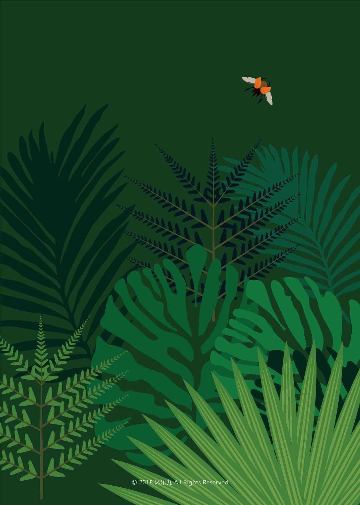 《热带植物》画一个系列的绿|插画|商业插画|沐乐九