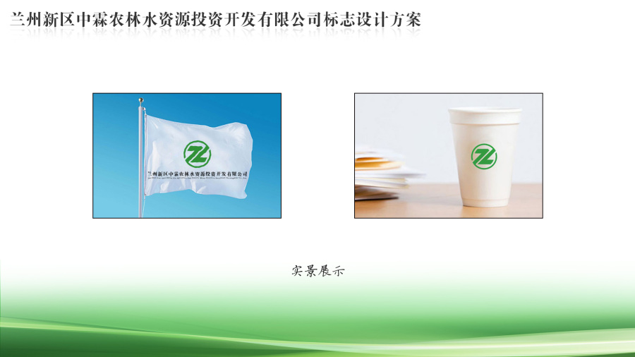 兰州新区中霖农林水资源投资开发有限公司LO