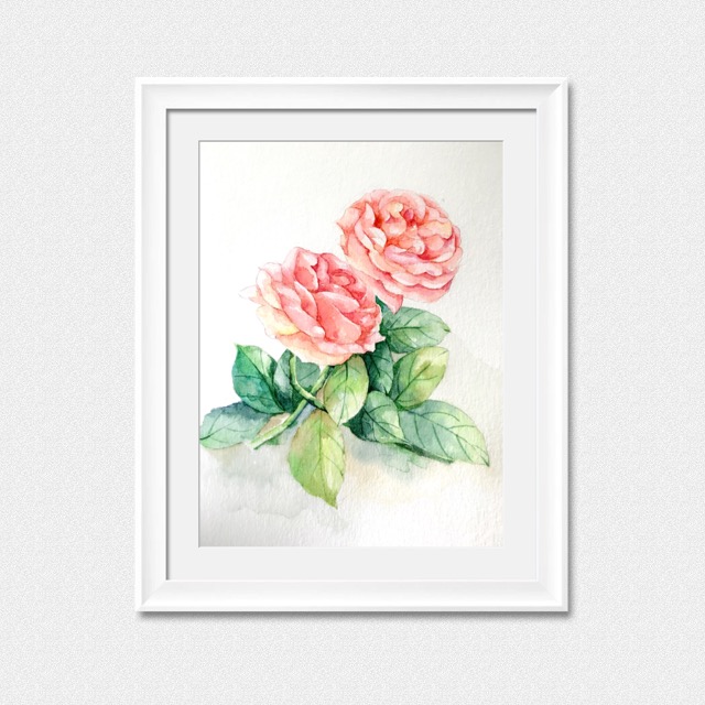 水彩玫瑰|绘画习作|插画|mimiting - 原创设计作品 - 站酷 (ZCOOL)