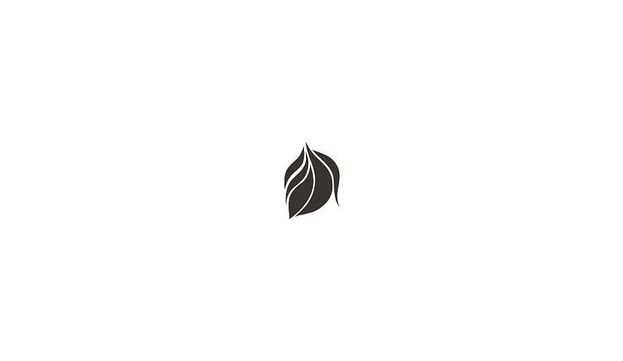 logo设计技巧之——一片叶子的启迪
