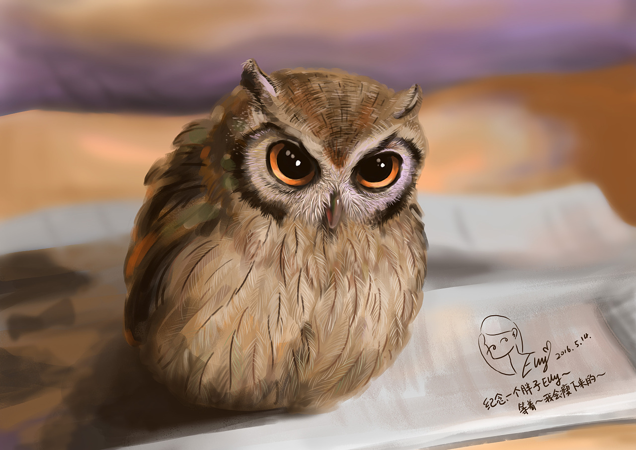 神奇的动物在哪里之猫头鹰|插画|插画习作|elly记梦馆