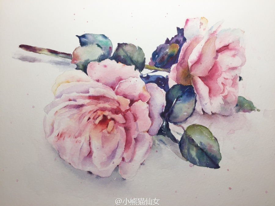 水彩花卉教程水彩花朵步骤图|其他绘画|插画|小