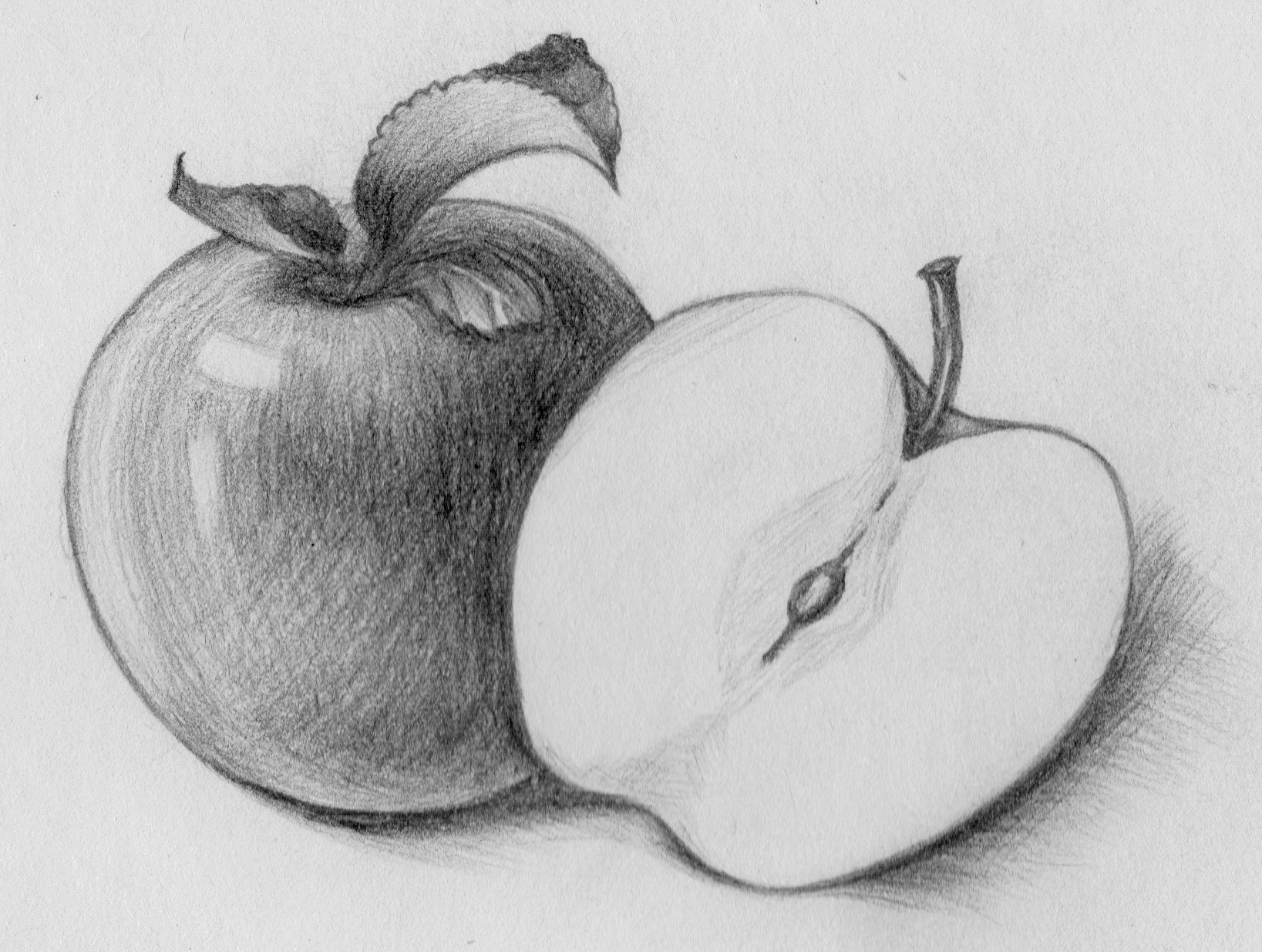 素描临摹--苹果       