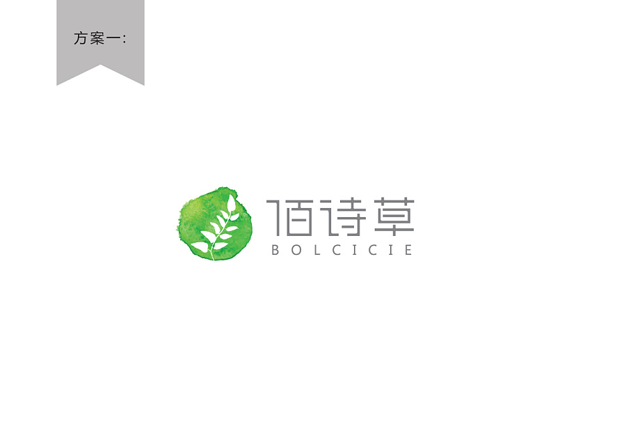 化妆品品牌logo字体设计-佰诗草|标志|平面|优度