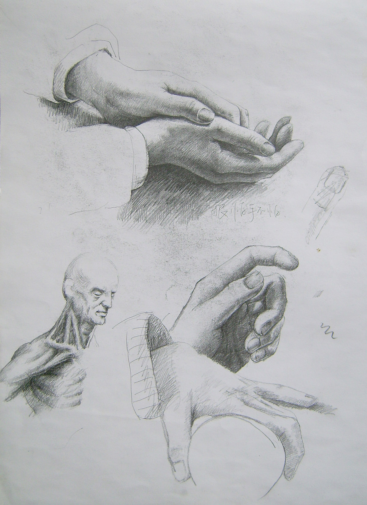 声明一下,中间的那个手,是用本人的右手画的本人左手,是临摹上面的手