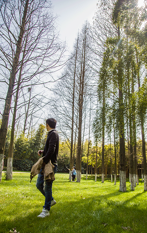 ps光线效果|摄影|风光|逸轩阁 - 原创作品 - 站酷