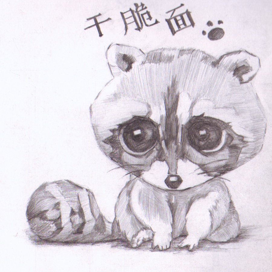 小浣熊|素描|纯艺术|夜空下的萤火虫 - 原创设计