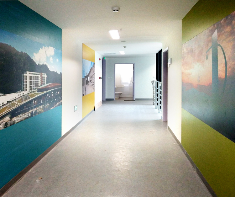 汕头大学新医学院模拟医院视觉医疗系统设计|