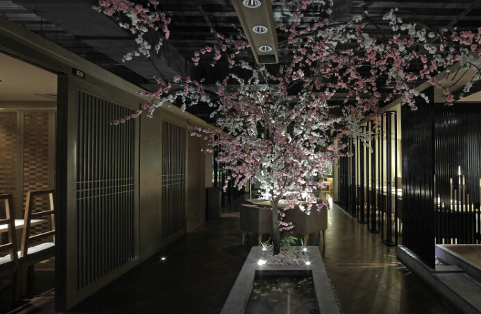 成都--日式赤坂料理店|室内设计|空间\/建筑|双流