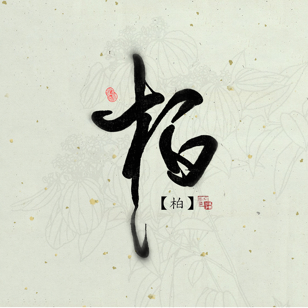 数位板\/菊花体手写--姓氏。