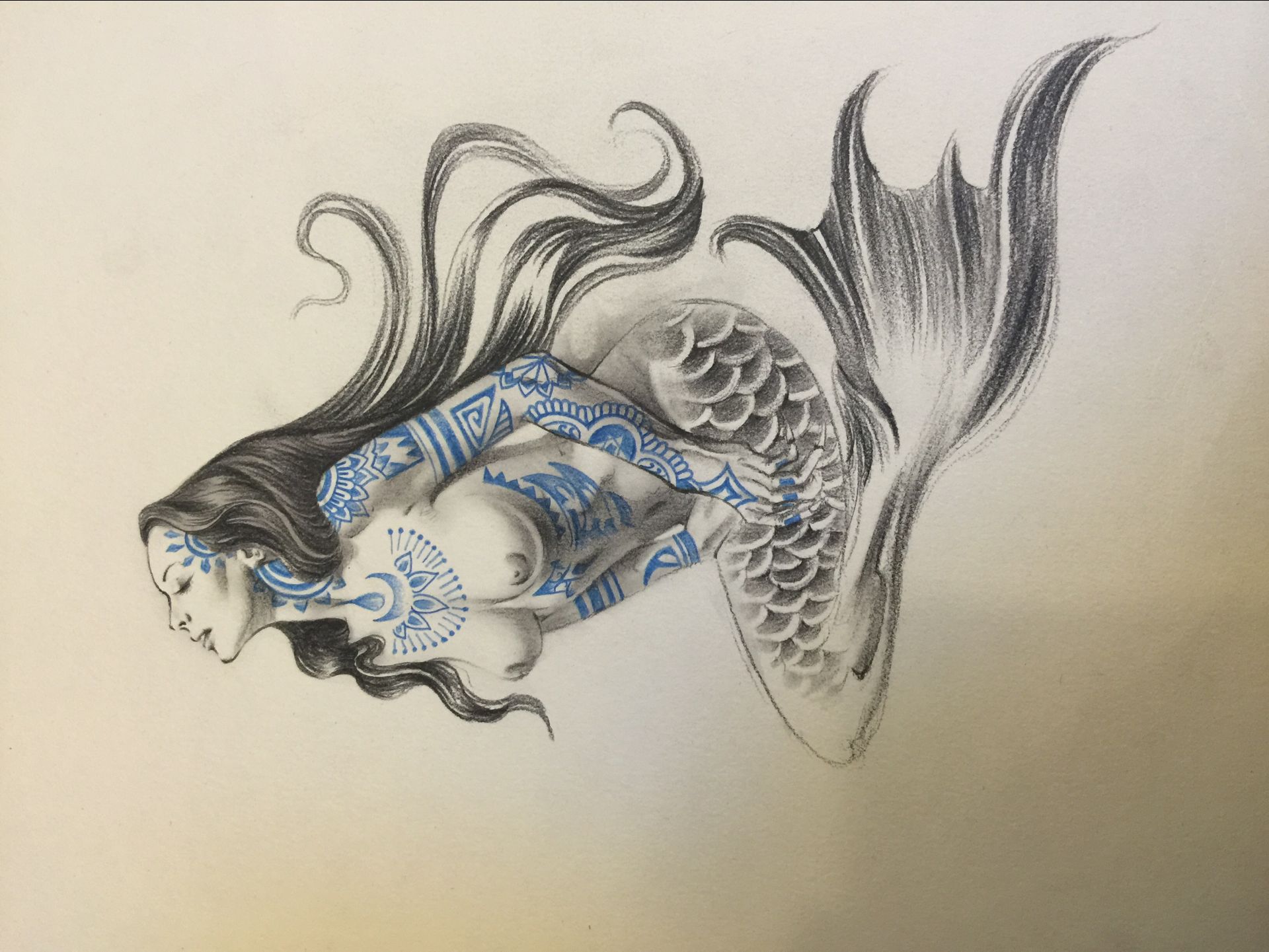 海燕纹身手稿内容图片分享