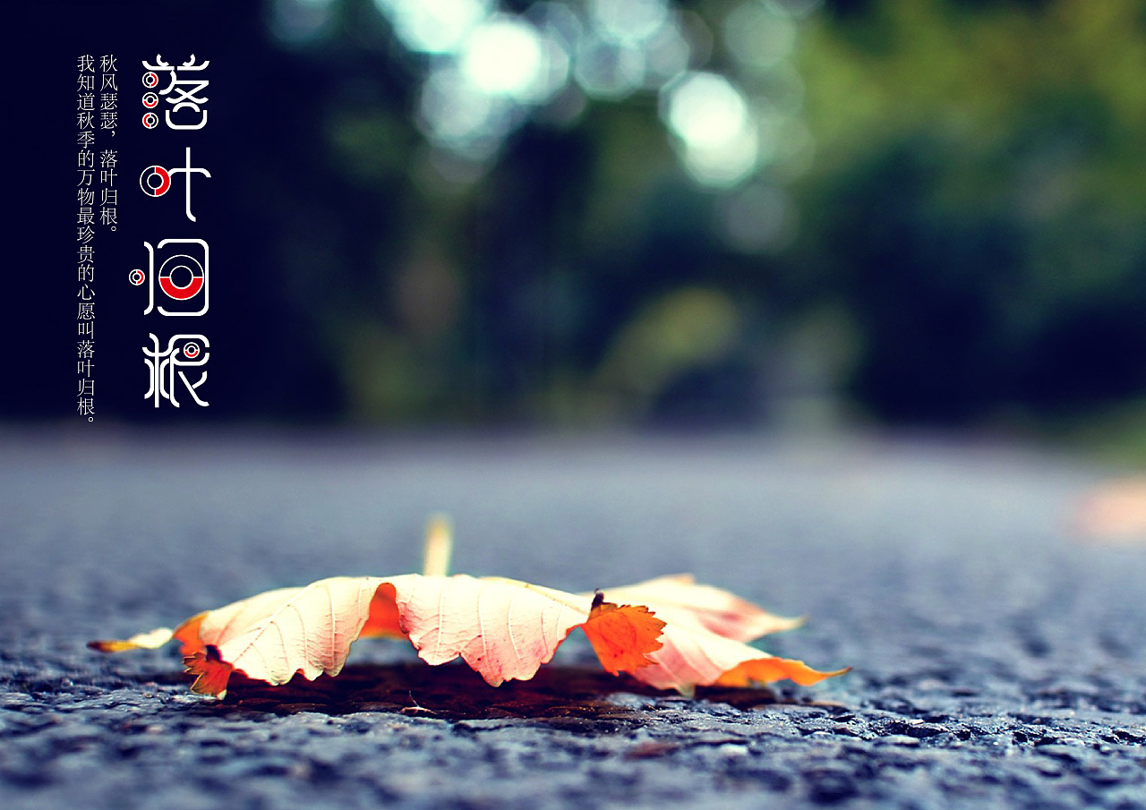 落叶归根-字体设计|平面|字体\/字形|gao199111
