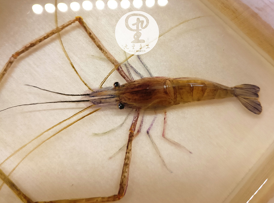 虾的画法\/树脂画图文教程|其他艺创|纯艺术|九里手工 - 原创设计作品 - 站酷 (ZCOOL)