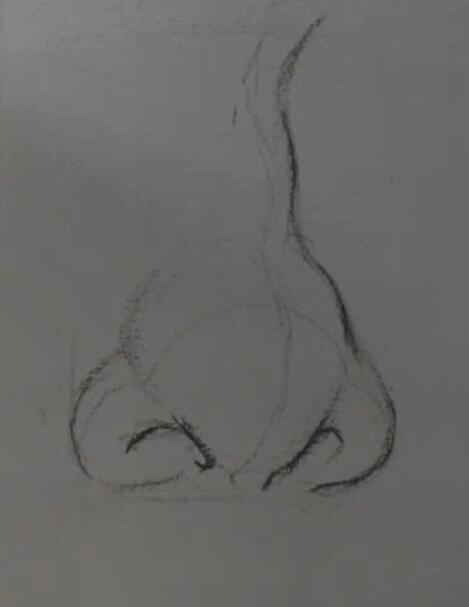 鼻子素描写实