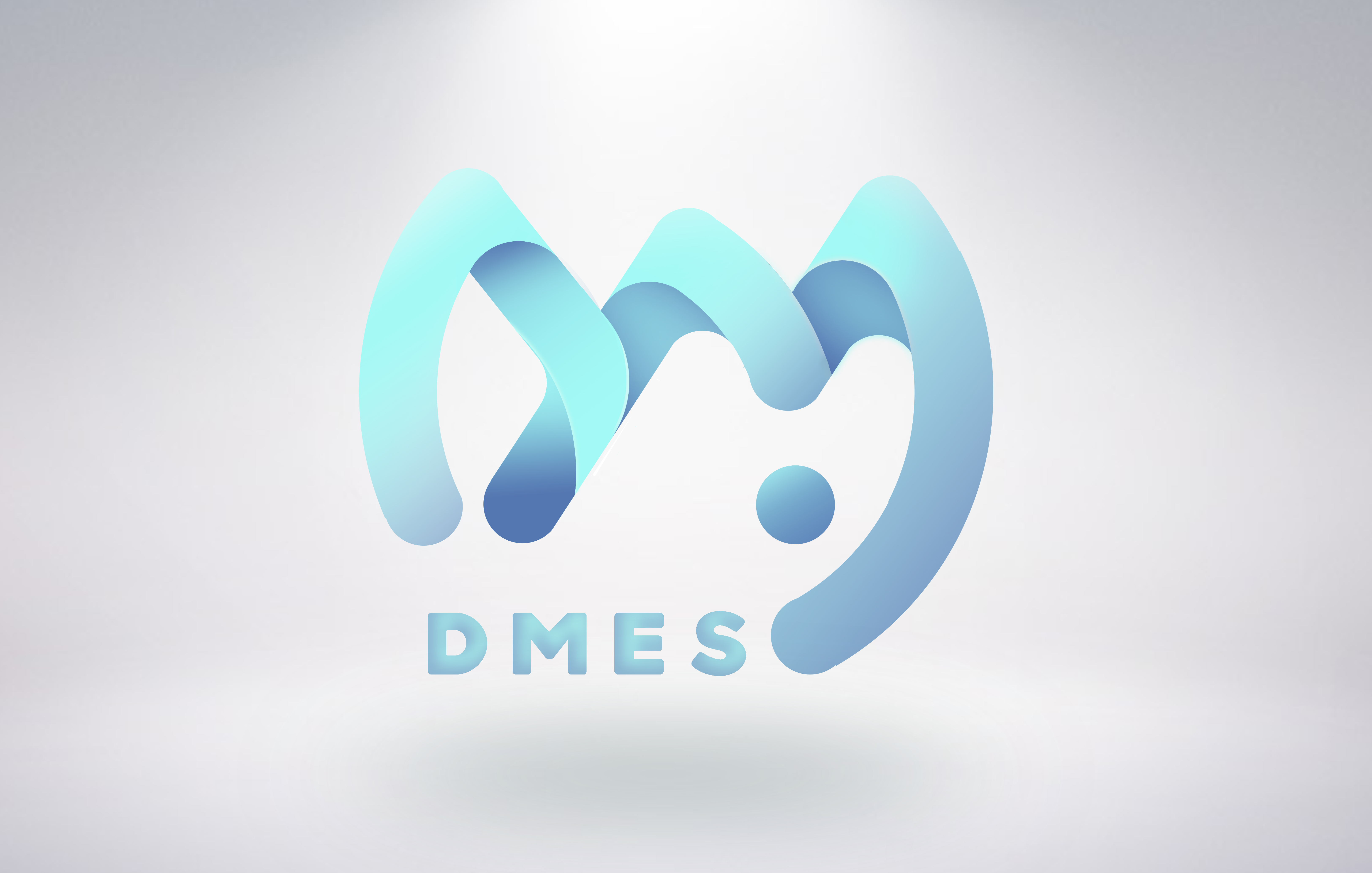 dmes工作室logo设计方案一