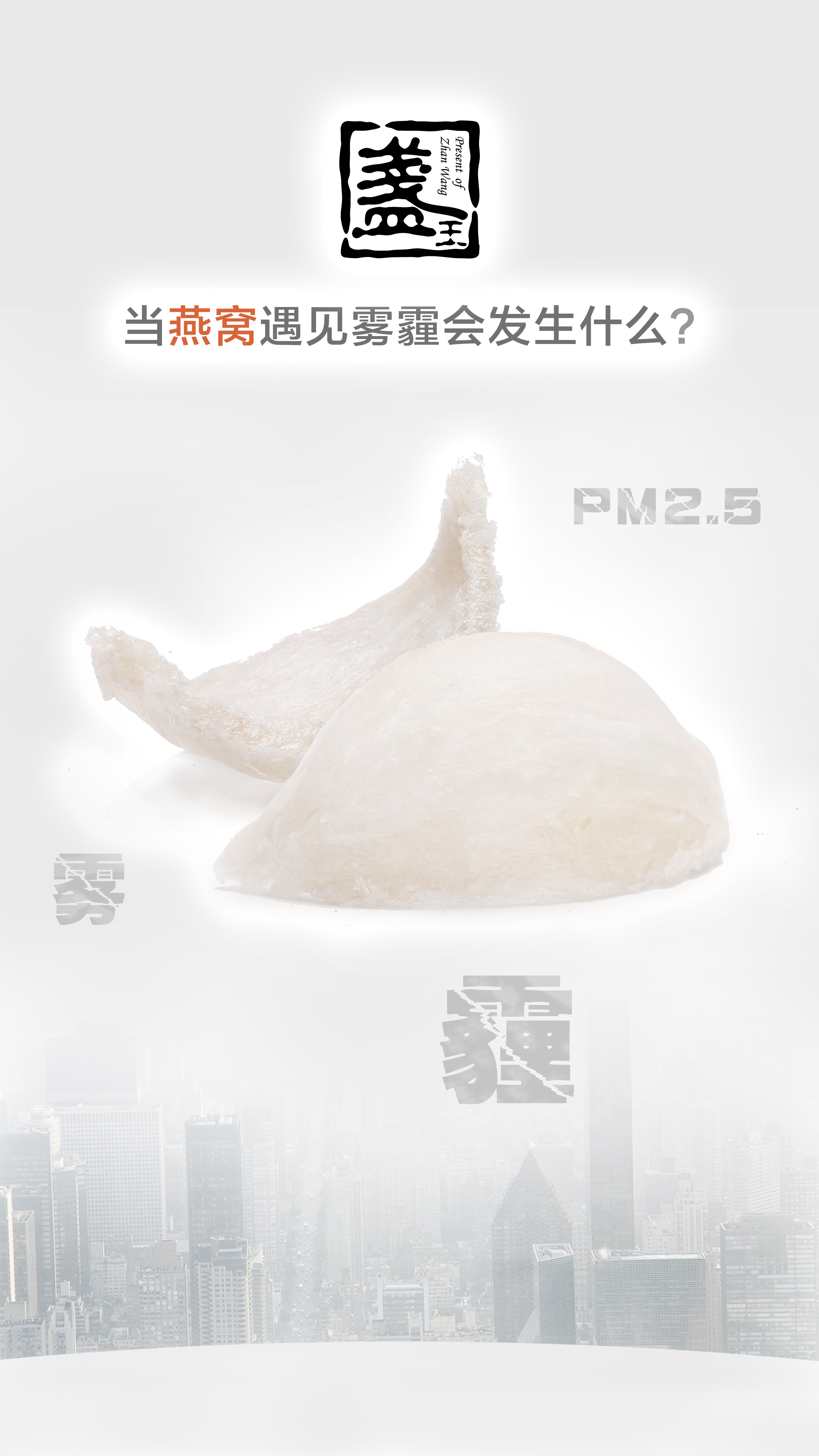 维倪广告网站推广燕窝 站酷网