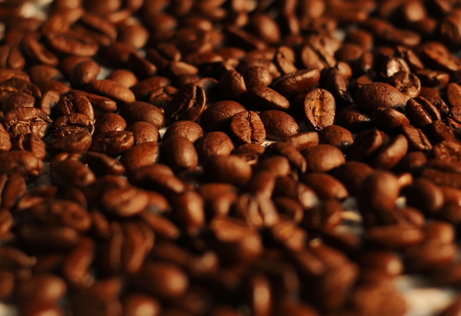 云南阿拉比卡种冻干咖啡粉速溶纯咖啡粉越谷云南冻干咖啡批发500g-阿里巴巴