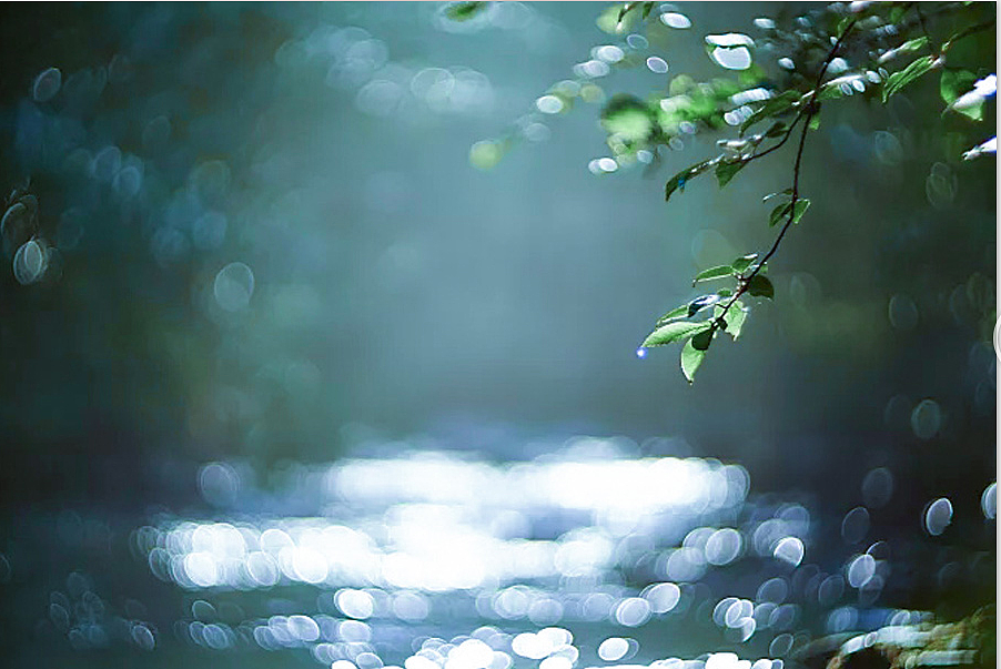 五玄土||雨后小径 路畔新绿