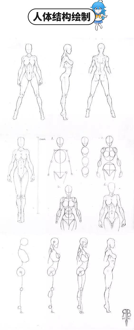 漫画人体结构绘制与参考素材
