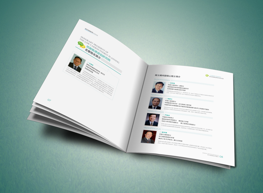 中国低碳能源规划研究院 |书装\/画册|平面|伤心