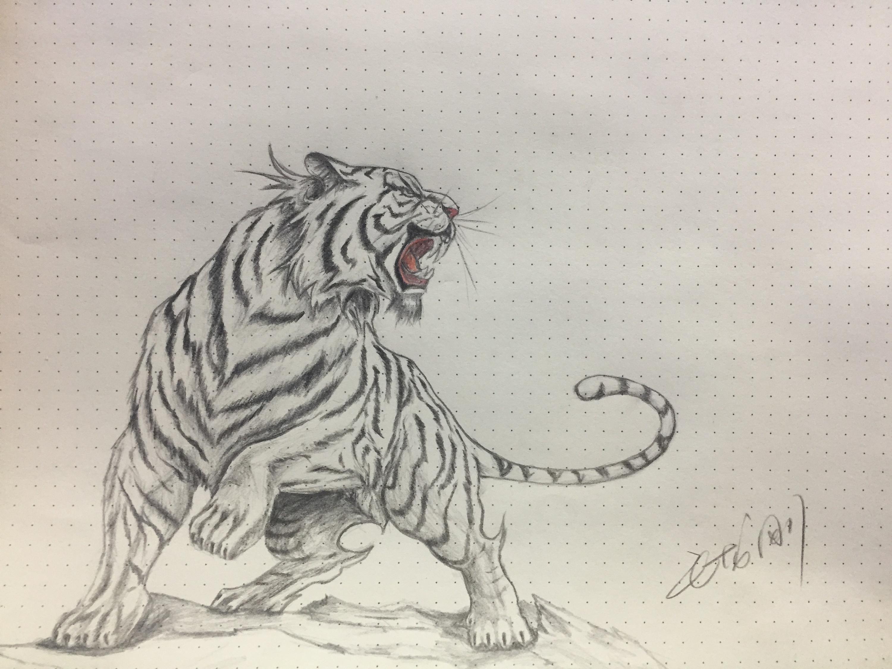 老虎怎么画铅笔画