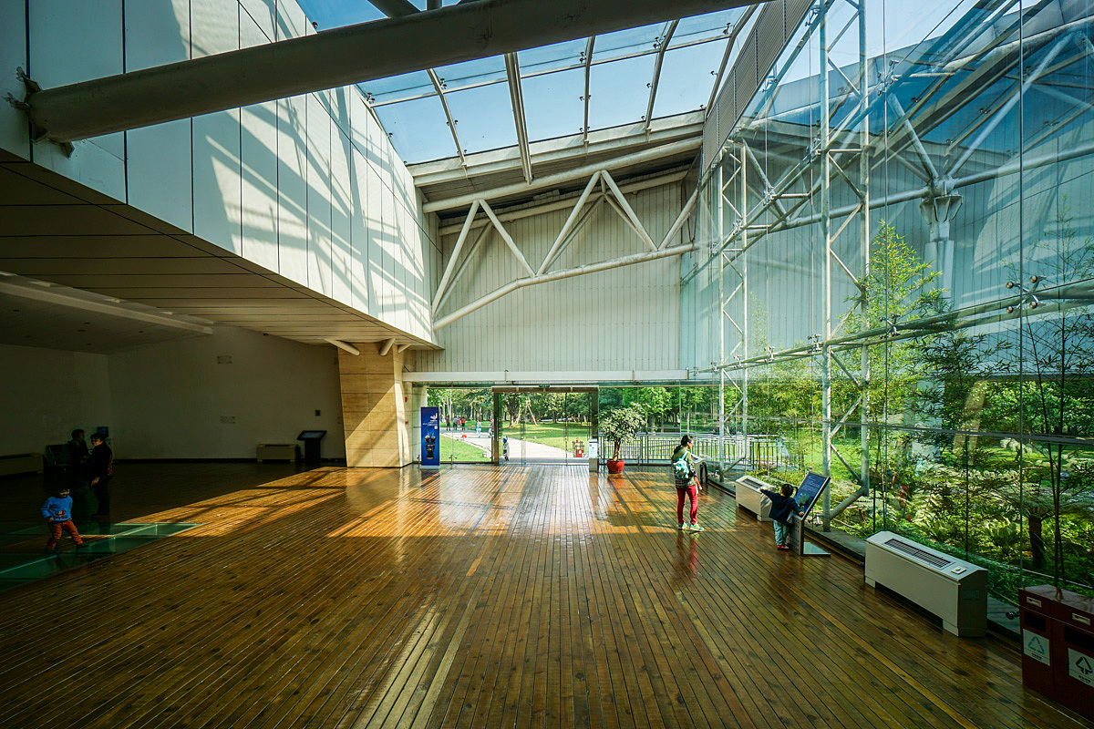 金沙遗址博物馆随拍|摄影|游记|scdker - 原创作品 - 站酷 (ZCOOL)