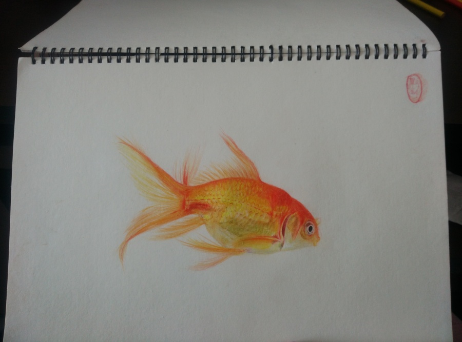 一条鱼|彩铅|纯艺术|不会画画的婉 - 原创设计作