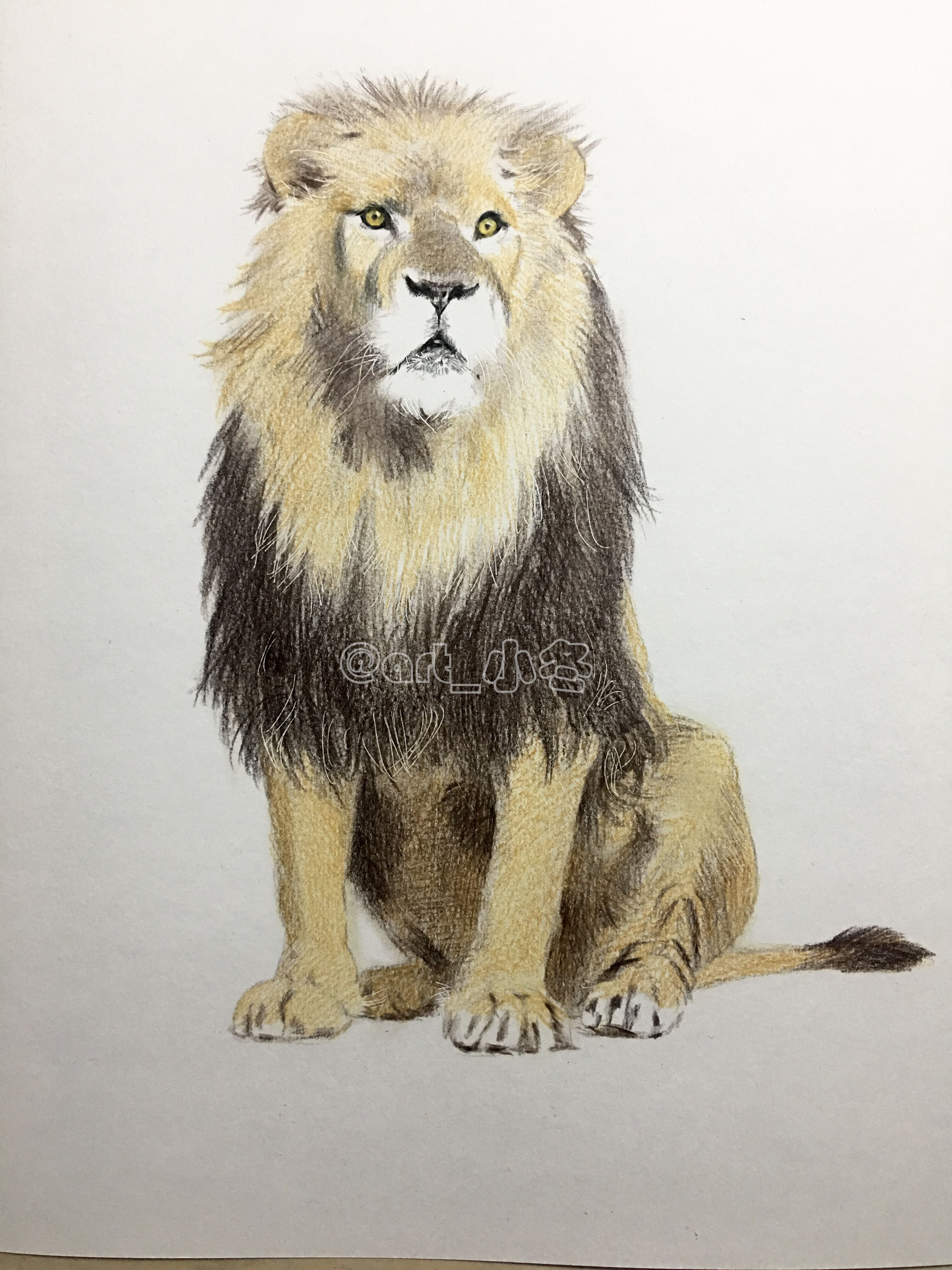 《狮子王》|纯艺术|彩铅|art_小冬 - 原创作品 - 站酷