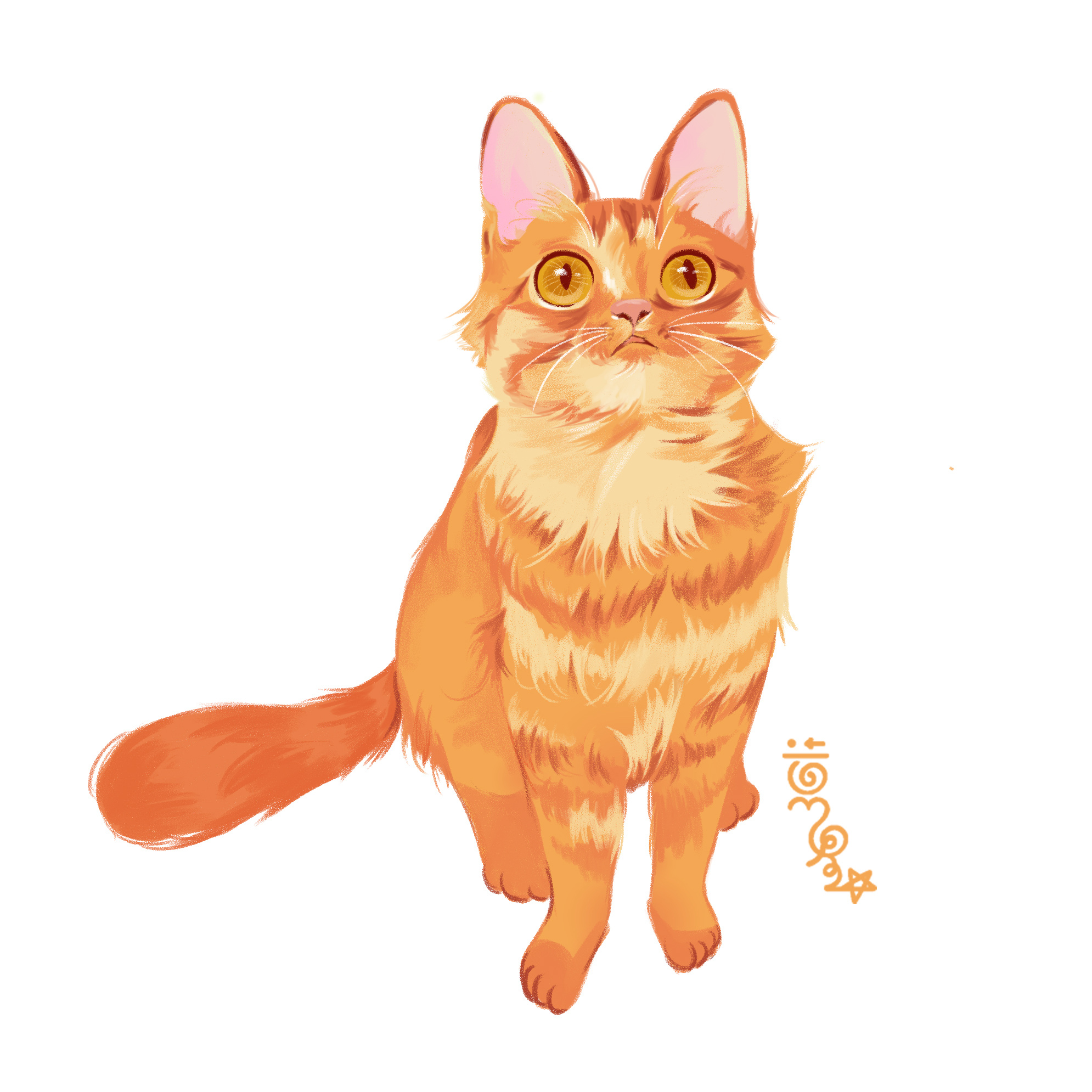 猫咪集合图