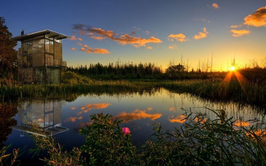 江苏后白生态草坪观光农业园规划设计|园林景