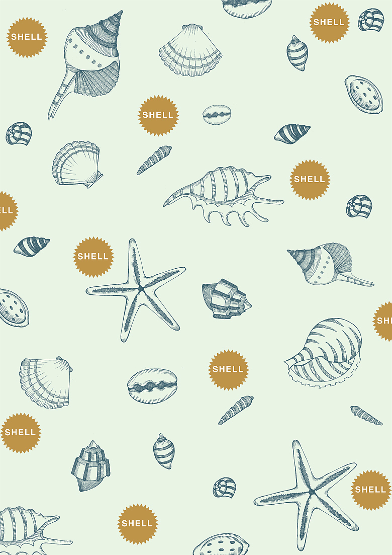 包装纸设计-贝壳图案|插画|插画习作|暖暖_插画师 - 原创作品 - 站酷 (ZCOOL)