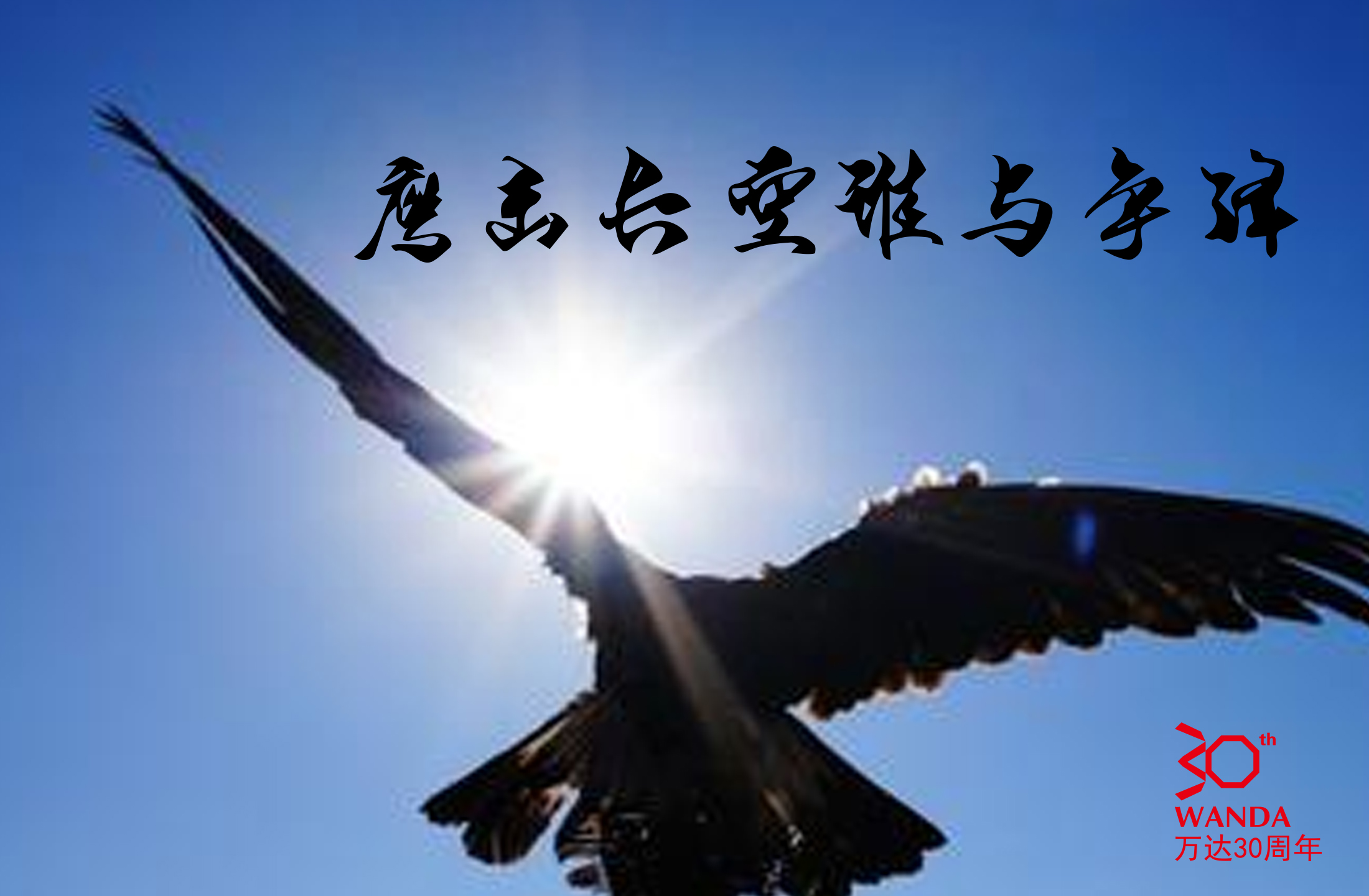 鹰击长空 谁与争锋
