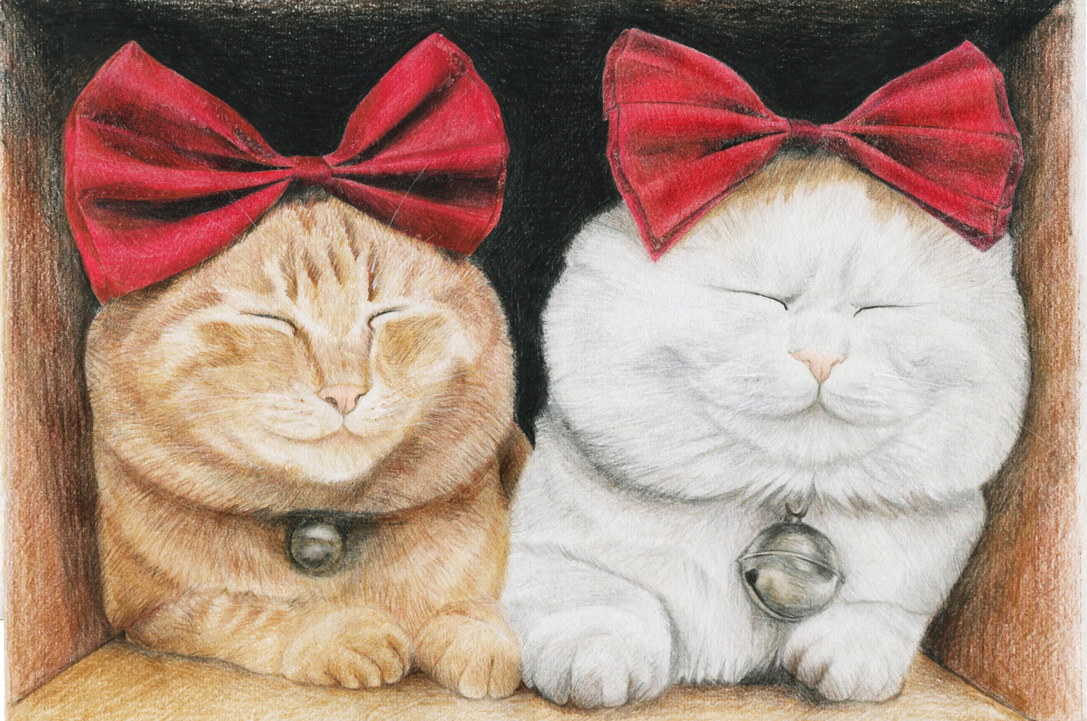 壁纸 动物 猫 猫咪 小猫 桌面 2231_1479