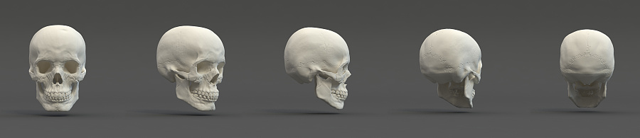 头骨雕刻渲染练习|三维|人物/生物|焦耳制造 - 原创